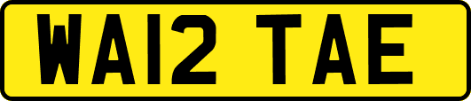WA12TAE