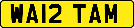 WA12TAM