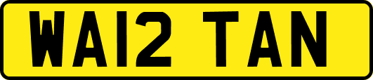 WA12TAN