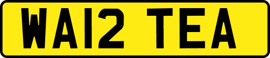 WA12TEA