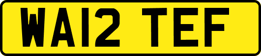 WA12TEF