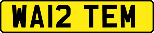 WA12TEM