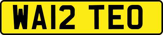 WA12TEO