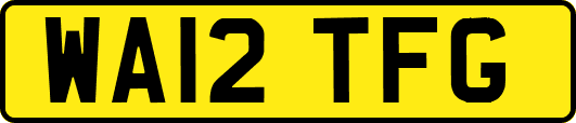 WA12TFG