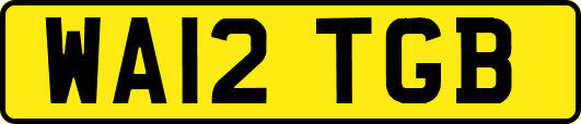 WA12TGB