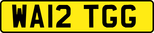 WA12TGG