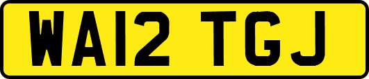 WA12TGJ