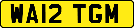 WA12TGM