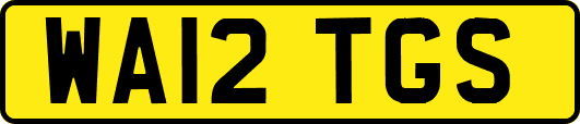 WA12TGS
