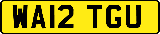 WA12TGU