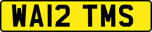 WA12TMS