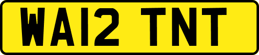 WA12TNT