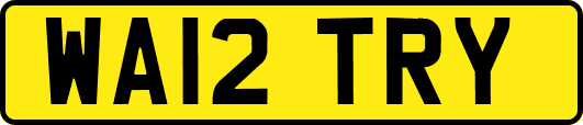 WA12TRY