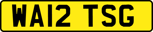 WA12TSG
