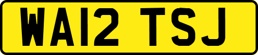 WA12TSJ