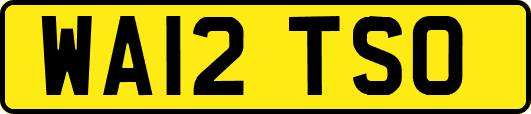 WA12TSO