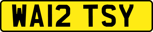 WA12TSY