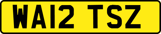 WA12TSZ