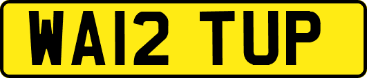 WA12TUP