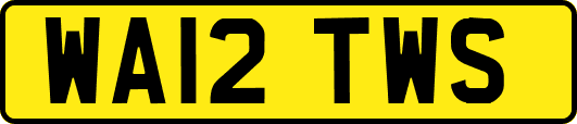 WA12TWS