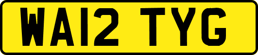 WA12TYG