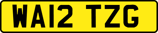 WA12TZG