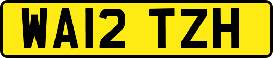 WA12TZH