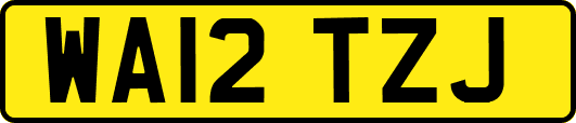 WA12TZJ