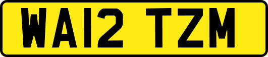 WA12TZM