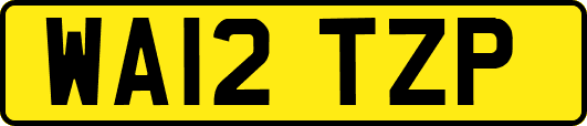 WA12TZP