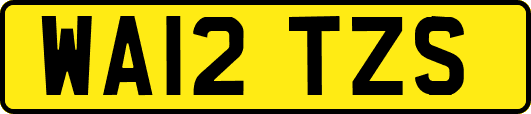 WA12TZS