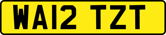 WA12TZT