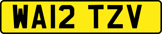 WA12TZV