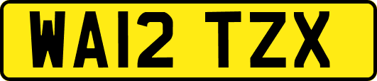 WA12TZX