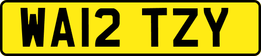 WA12TZY