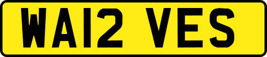 WA12VES