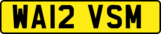 WA12VSM