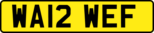 WA12WEF