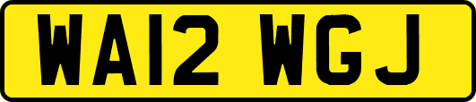 WA12WGJ