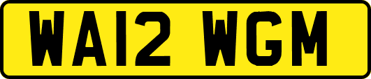WA12WGM