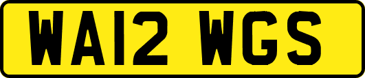 WA12WGS