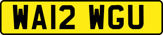 WA12WGU