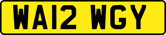 WA12WGY