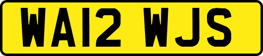 WA12WJS