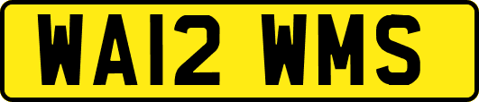 WA12WMS