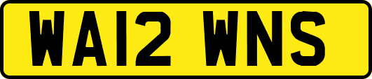 WA12WNS