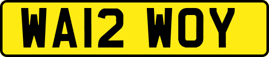 WA12WOY