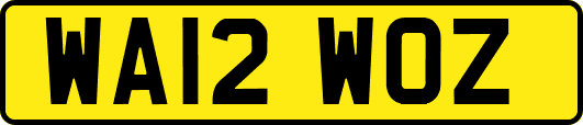 WA12WOZ