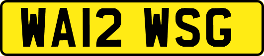 WA12WSG