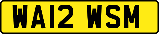 WA12WSM